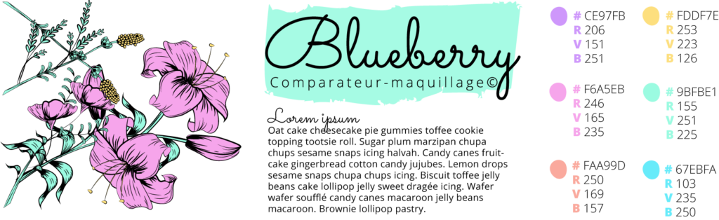 Charte graphique de blue berry : comparateur de maquillage