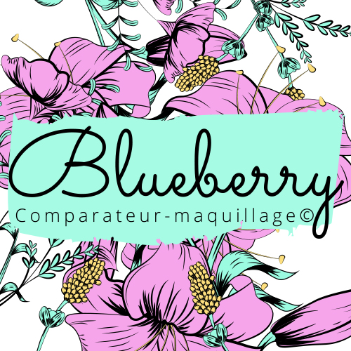 Image à la une du comparateur de maquillage : webdesign, identité visuelle et intégration. Affiliation en cours.